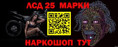 гашик Сланцы