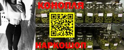гашик Сланцы