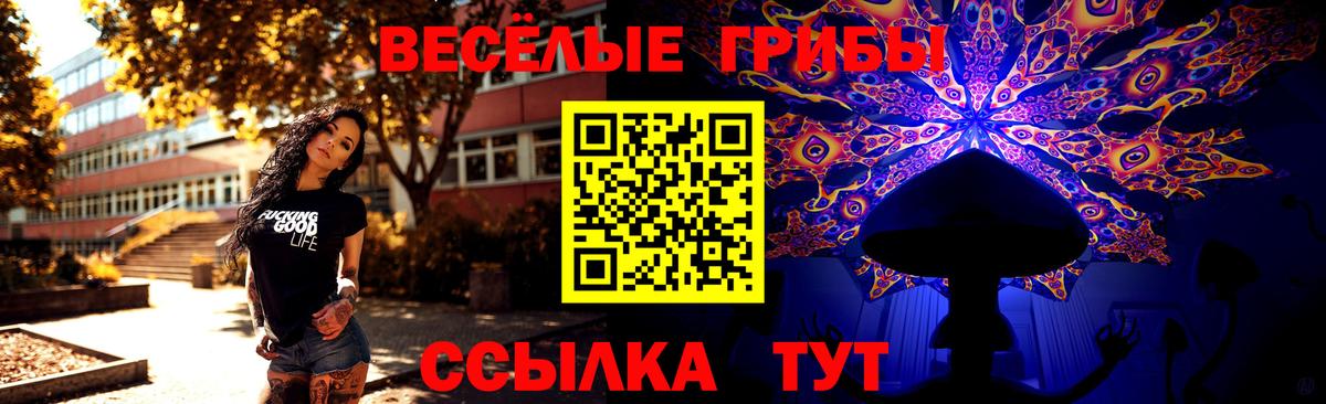 Псилоцибиновые грибы Cubensis Новоуральск