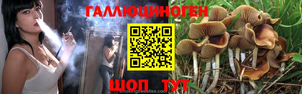 Новоуральск  Псилоцибиновые грибы Psilocybine cubensis  Вход с VPN 